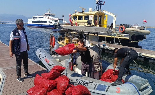 İzmir'de yasa dışı yollarla avlanılan 560 kilo kara midyeye el konuldu