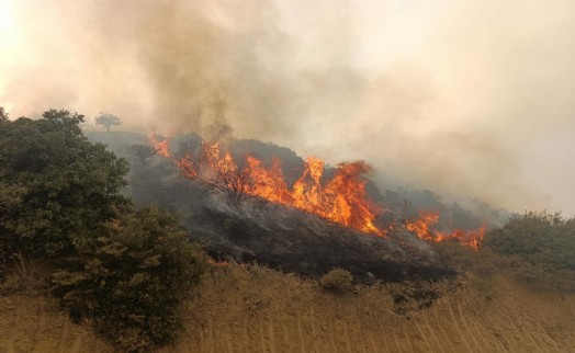 Manisa'da korkutan yangın ekiplerin müdahalesiyle kontrol altında