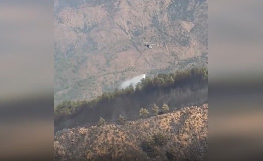 Marmaris Aksaz'daki orman yangını kontrol altına alındı
