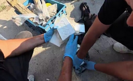 Milas'ta kamyonette 2 kilo kokain ele geçirildi: 1 şüpheli tutuklandı