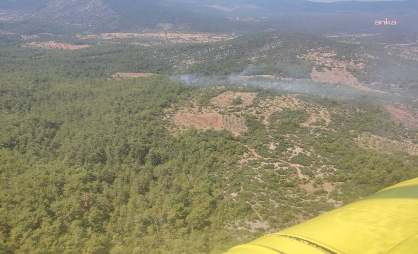 Muğla Menteşe’de çıkan yangın kontrol altına alındı