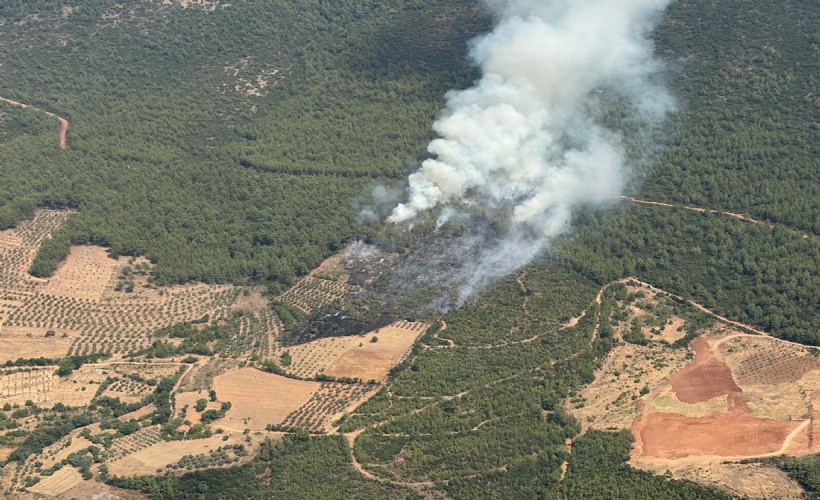 Muğla'da korkutan orman yangını; 1 saatte kontrol altına alındı