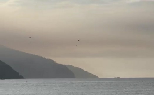 Muğla'da orman yangını ikinci gününde