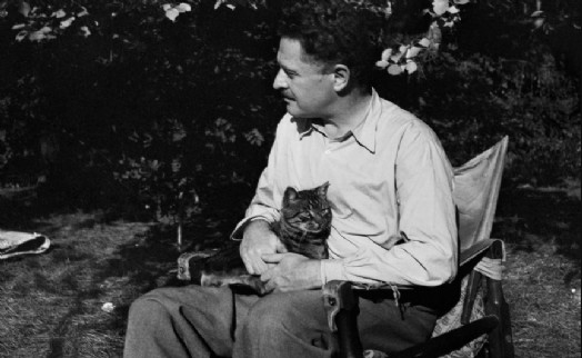 Nazım Hikmet’in Türkiye’deki en kapsamlı sergisi 95. İEF ile birlikte açılacak
