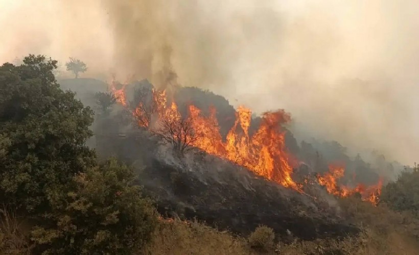 Orman yangınları soruşturması: 12 kişi tutuklandı
