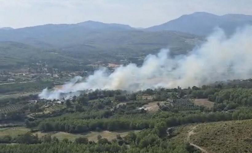 Seydikemer’de korkutan orman yangını