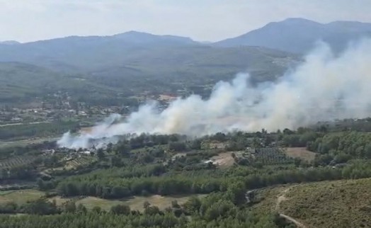 Seydikemer'de korkutan orman yangını