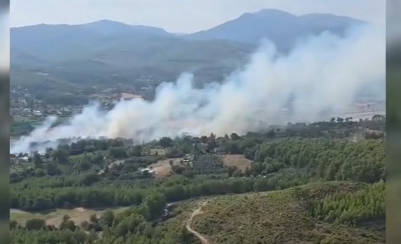 Seydikemer'de orman yangını çıktı