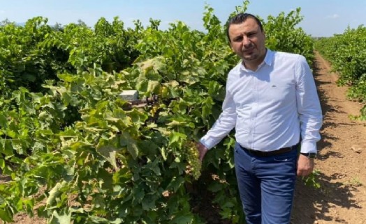 YENİ Partili Başevirgen'den çiftçiyi koruyacak üzüm fiyatı çağrısı