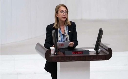 YENİ Partili Milletvekili, çerçeve yasaya 'hayır' oyu vereceğini açıkladı