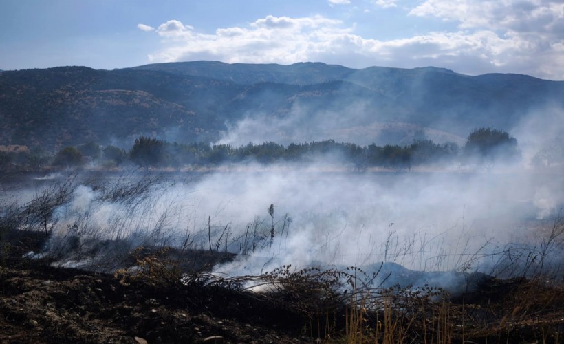 Afyon'da 150 dönüm ekili tarla kül oldu