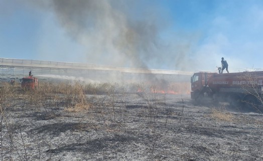 Afyonkarahisar'da ot yangını seraya sıçradı