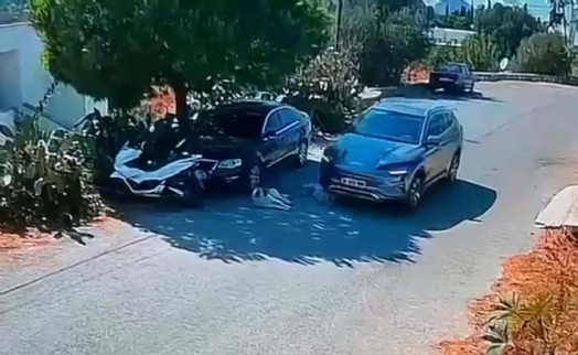 Bodrum'da dehşet! Otomobil, iki köpeğin üzerinden geçti; o anlar kamerada