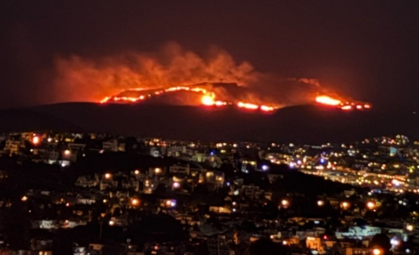 Bodrum'da maki ve ot yangını