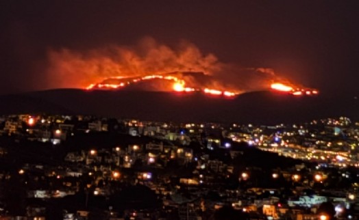 Bodrum'da maki ve ot yangını