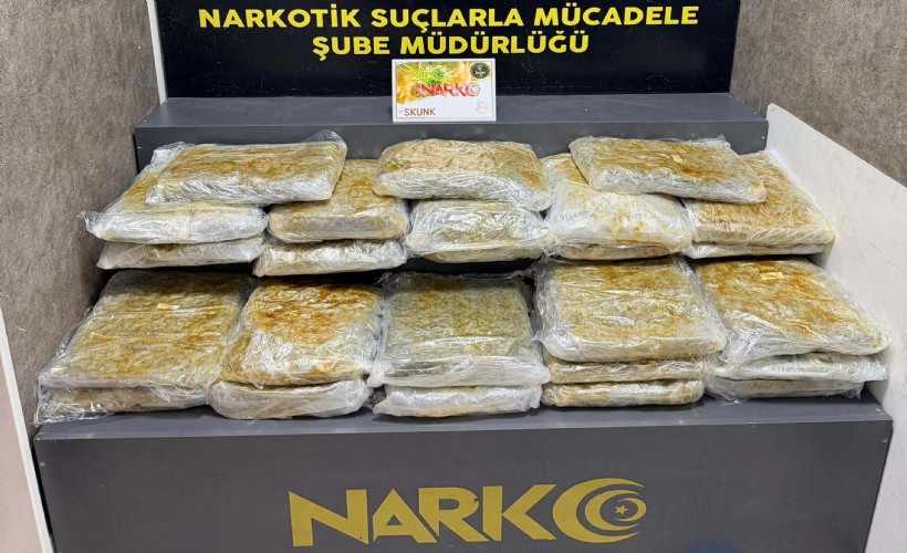 İzmir'de 29 kilo 800 gram skunk ele geçirildi