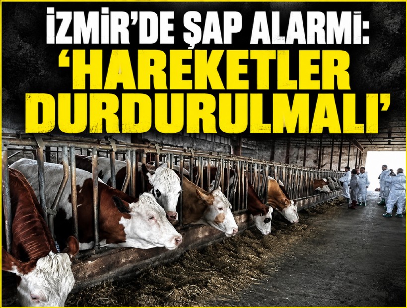 İzmir'de şap alarmı: ‘Hareketler durdurulmalı’