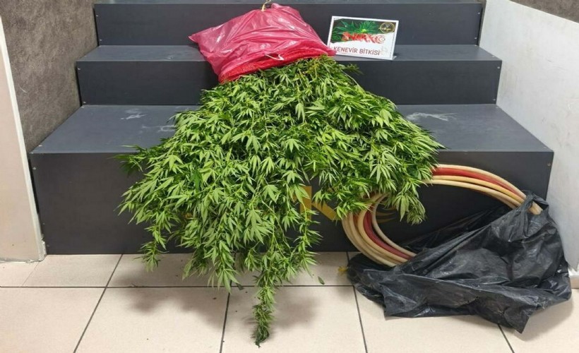 İzmir'de uyuşturucu operasyonu: 1 tutuklama