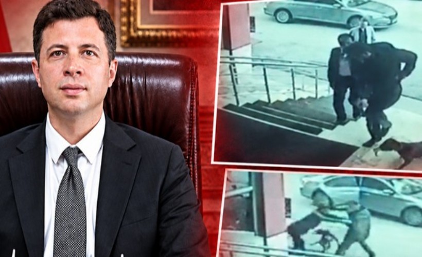 Köpeğe tekmleyen kaymakama soruşturma: 'Koruması silah çekti' iddiası