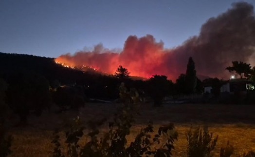 Muğla'da orman yangını büyüyor: 3 ev tahliye edildi, kara yolu kapatıldı