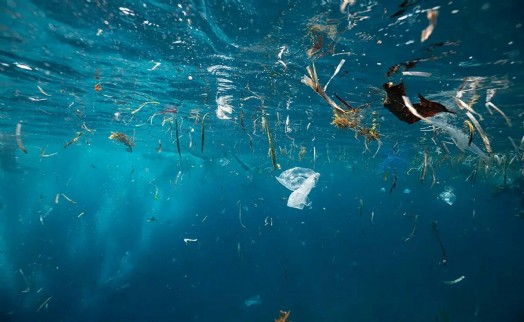 Plastik artışındaki yükseliş ekosistemi tehdit ediyor!