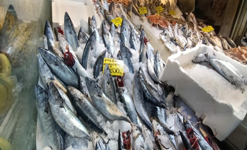 Sofralarda balık bereketi: Palamut, sardalya ve hamsi 100 lira