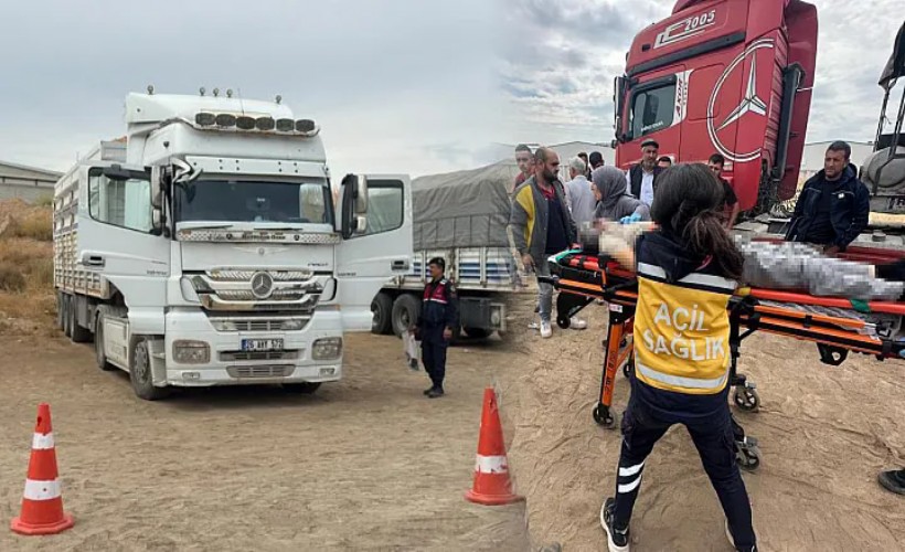 TIR sürücüsü aracın yatagında ölü bulundu