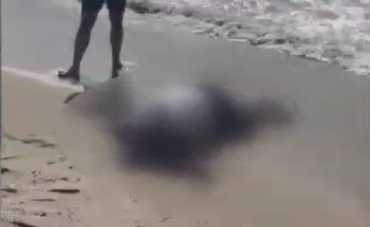 Yattan düşen iş insanının cesedi sahilde vurdu