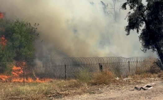 Aydın'da zeytinlikten otobana sıçrayan yangın kontrol altına alındı