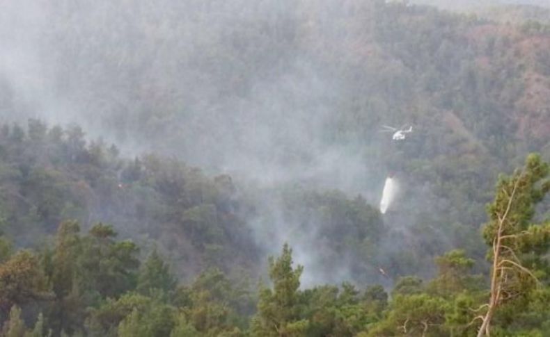 Muğla'da çifte orman yangını