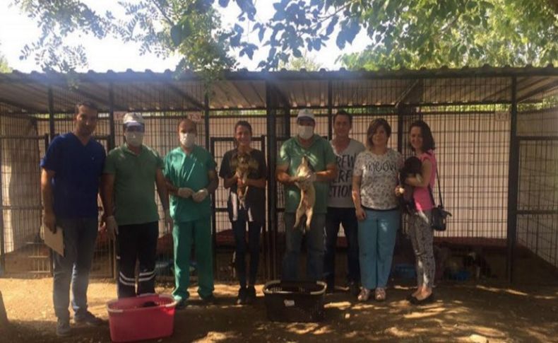 Kiraz Hayvan Barınağı’ndaki hayvanlara Belediye sahip çıktı