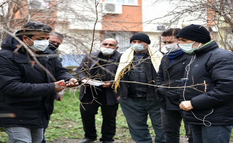 Bornova Belediyesi tarım ürünlerine sahip çıkıyor