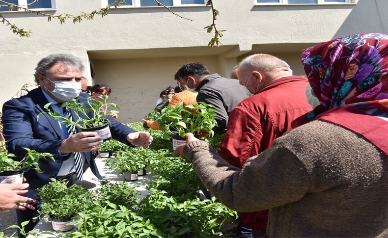 Bornova’da hedef 100 bin fidan