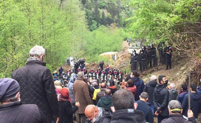 Rize İşkencedere'de  iş makineleri ağaçları kopardı