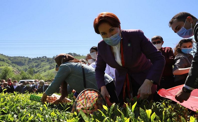 Akşener’den Erdoğan’a: Onun için çay topluyorum