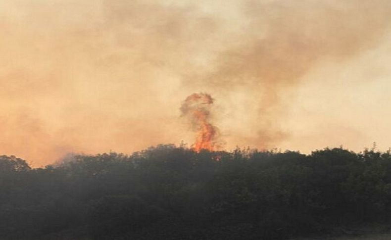 Manisa’da 6 farklı noktada orman yangını