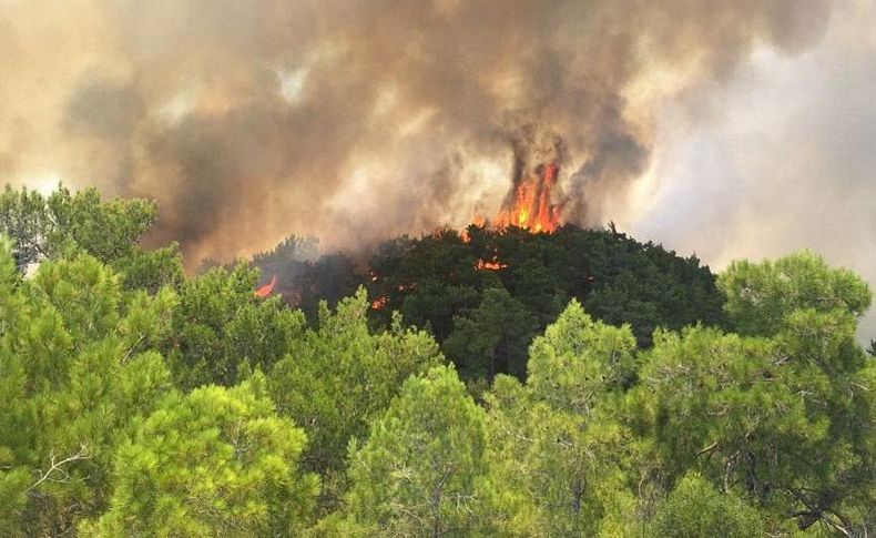 '250 bin futbol sahası büyüklüğünde orman yandı'