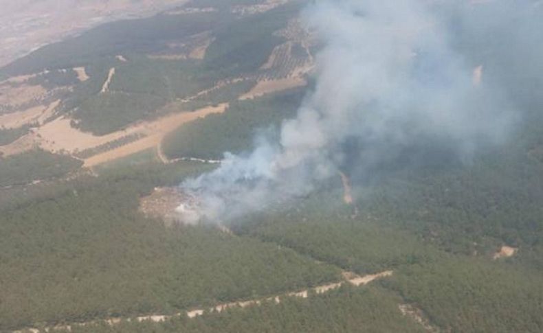 İzmir'de çıkan orman yangını kontrol altında