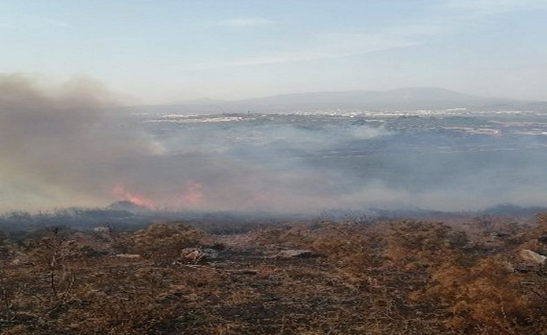 İzmir'de makilik yangını kontrol altına alındı