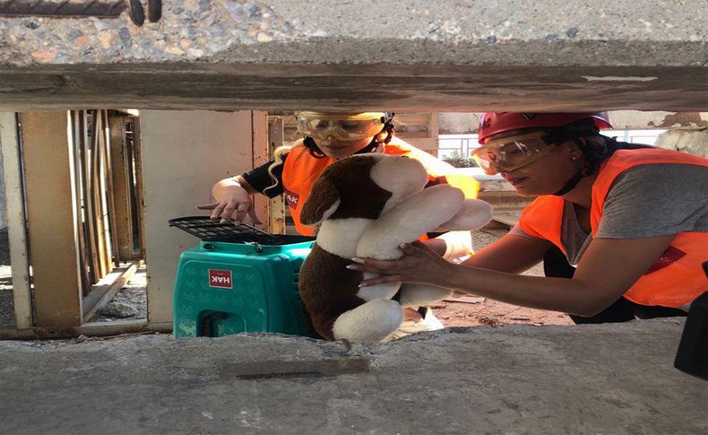 İzmir İtfaiyesi’nden afette kurtarılacak can dostlar için eğitim