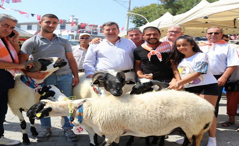 Ovacık'ın festival heyecanı başlıyor: Kavun, sakız, bayaz soğanı ve kekik sizleri bekliyor