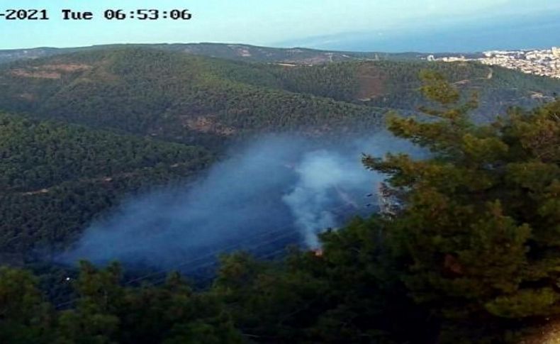 Balçova'da kundaklama kokan orman yangını: 1 gözaltı