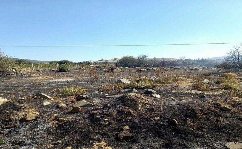 Balçova’da ormanı yaktığı iddia edilmişti: Tutuklandı
