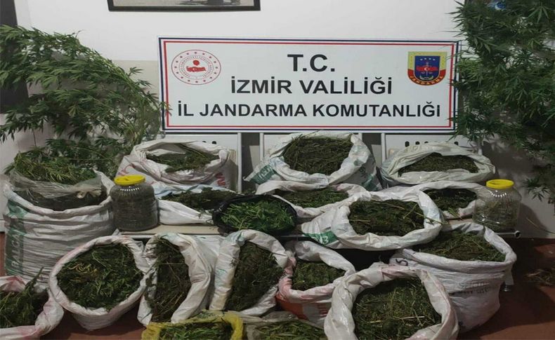 Jandarmadan operasyon: 50 kilonun üzerinde esrar ele geçirildi