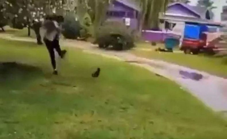 Parkta kediye tekme atmıştı! Sıcak gelişme!