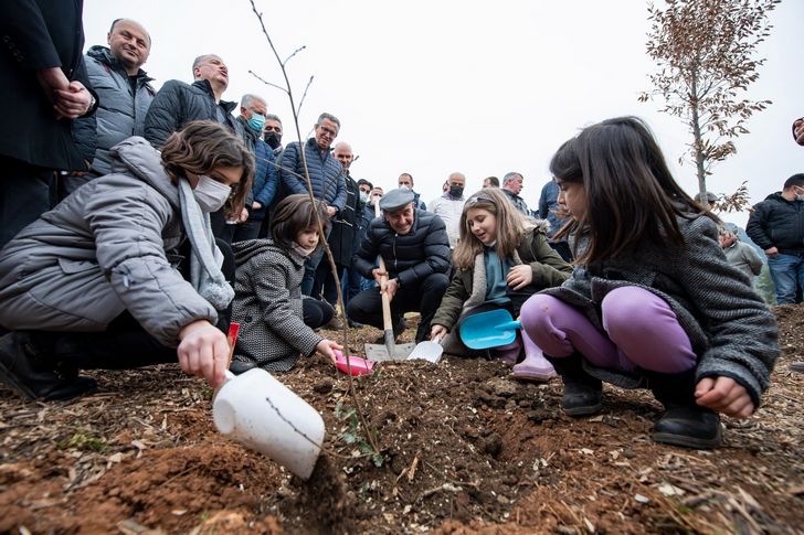 Menderes'te 3 binden fazla fidan toprakla buluştu