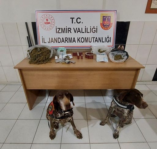 Dedektör köpekler uyuşturucuların yerini tek tek buldu
