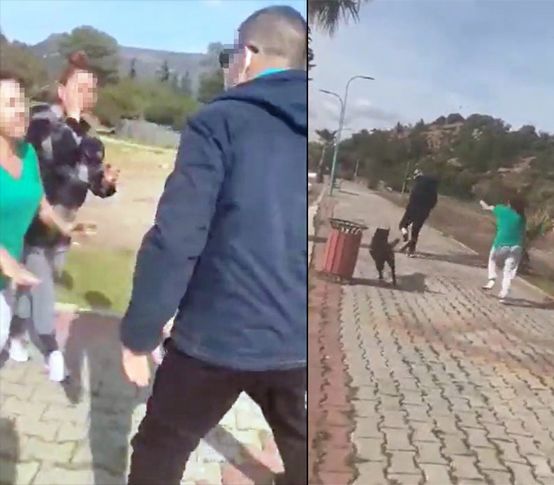 İzmir'de köpek tartışması şiddete dönüştü
