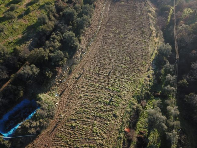 Kaybolan Alzheimer hastasını drone ile buldular