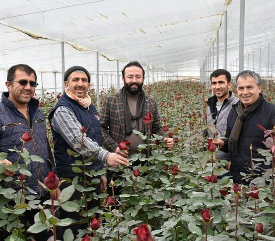 AK Partili Artcı'dan Menderes'teki seralara ziyaret